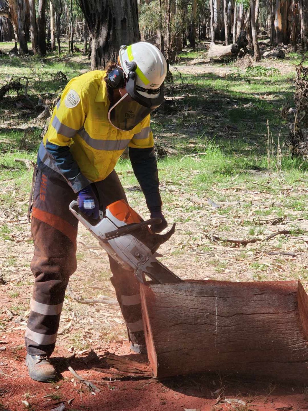 Kiana cutting a log with chainsaw