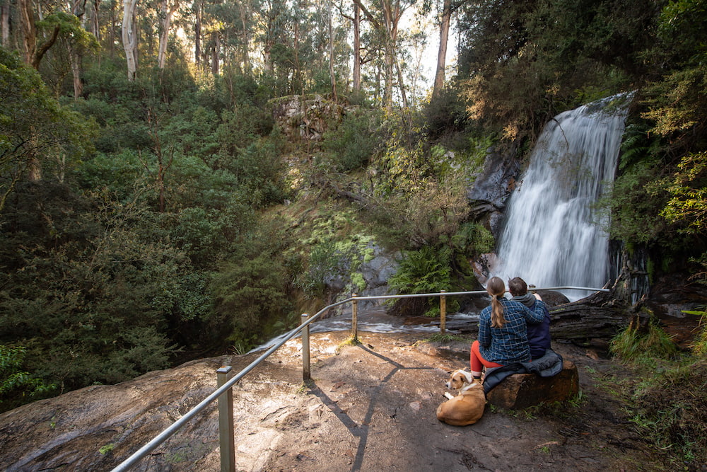 Two people seated facing away from camera looking over a waterfall and lush forest