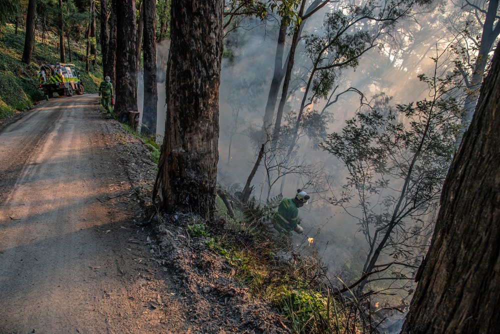 Dirt road with embankment to the right and a person with a drip torch